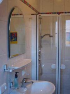 ein Bad mit einer Dusche, einem Waschbecken und einem Spiegel in der Unterkunft B&B Pension Winzerhaus Zell-Mosel in Zell an der Mosel