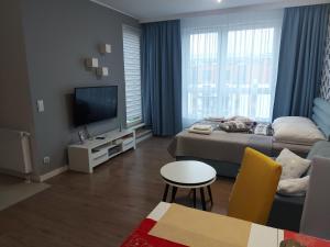 ein Wohnzimmer mit einem Sofa und einem TV in der Unterkunft Apartament SenGA in Misdroy