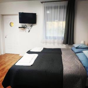a bedroom with a large bed with a television on the wall at Kis Ház Apartman in Szigetvár +6 photos