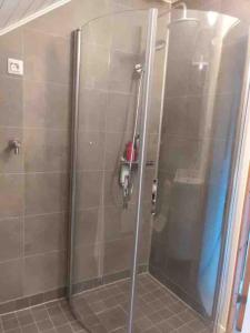 y baño con ducha y puerta de cristal. en Guesthouse Onnia, kattohuoneisto Siurossa, en Siuro