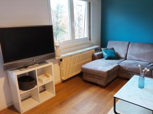 A television and/or entertainment centre at Rare à Colmar - Appartement Champ de Mars vue sur Parc - 70m2 - 2 chambres