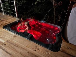 Ảnh trong thư viện ảnh của Alsace kota évasion & Spa la canopée ở Mollkirch