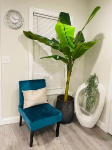 a blue chair and a plant in a room at Cozy Short & Suite 4-Bedroom Stay- Minutes to City in Quincy