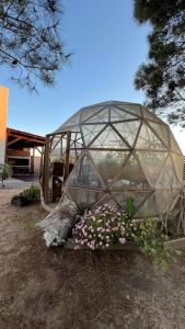 una cúpula invernadero con flores en un patio en El Diablo Chic - Style House, en Punta del Diablo
