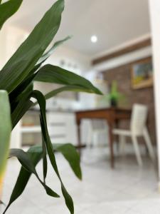 a green plant in a living room with a table at La Quinta Departamento in Santa Rosa