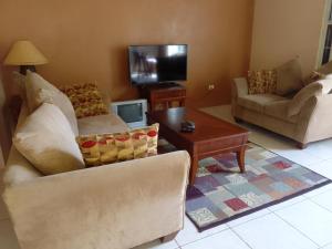 sala de estar con 2 sofás y TV en Abigail's Sunflower Entire 2 Bedroom Apt, en Tortola Island