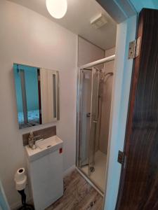 a bathroom with a shower and a sink and a mirror at The Boathouse in Ballycotton