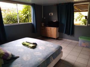 VILLA DE LA BAIE RAIATEA في أوتوروا: غرفة نوم بسرير ونوافذ
