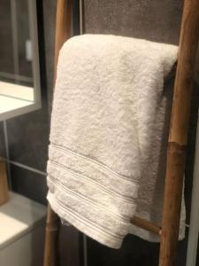 uma toalha num toalheiro na casa de banho em Superbe appartement centre ville proche des pistes em Morez