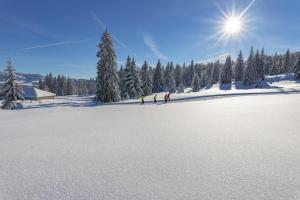 Superbe appartement centre ville proche des pistes v zime