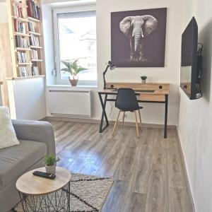 Televízia a/alebo spoločenská miestnosť v ubytovaní Superbe appartement centre ville proche des pistes
