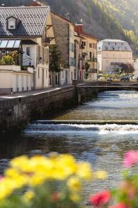 un río en una ciudad con edificios y flores en Superbe appartement centre ville proche des pistes en Morez