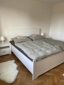 una camera con un letto bianco e un tappeto bianco di Ubytování U Dědy a Moravská Nová Ves
