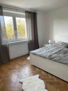 una camera con letto, finestra e tappeto di Ubytování U Dědy a Moravská Nová Ves