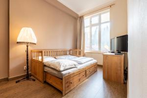 a bedroom with a bed and a tv and a lamp at Apartmány Pod Kolonádou in Janske Lazne