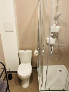 a small bathroom with a toilet and a shower at 1-bedroom loft in Siena Tirgus in Rīga