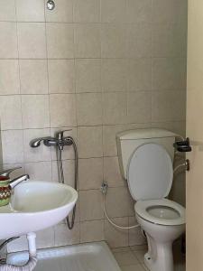 La salle de bains est pourvue de toilettes et d'un lavabo. dans l'établissement Bayt Ateeq (Ateeq's house), à Bethléem