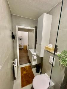 een kleine badkamer met een toilet en een wastafel bij Residentie de Eikhof in Hengelo