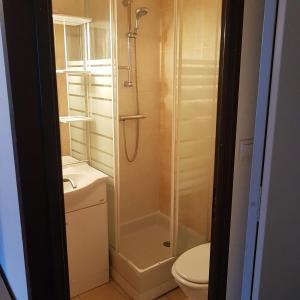 een badkamer met een douche en een toilet bij Superbe studio dans la vallée de l'Eau d'Olle. in Allemont