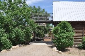 een loopbrug naar een houten hut met bomen bij Wild West Retreat in Escalante