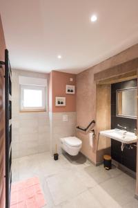 een badkamer met een toilet en een wastafel bij La Loge du Pic Noir in Dabo