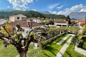 Príroda v okolí apartmánu