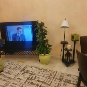 a television in a living room with a plant at mArinAr in Agadir