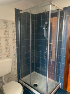 a bathroom with a shower with a toilet at SWEET APT Piazza Statuto 9 nel pieno CENTRO di TORINO in Turin +16 photos