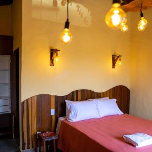 een slaapkamer met een bed met een houten hoofdeinde en verlichting bij Espaço Canela-de-Ema in Alto Paraíso de Goiás