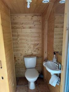 約斯皮塔萊普雷朗多爾的住宿－Chalet 6B dans les Pyrénées proche d'Andorre，一间带卫生间和水槽的小浴室