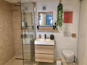 a bathroom with a shower and a toilet and a sink at Chez Isa, loft 55m2, jardin, vue, parking, entrée autonome in Ceyrat