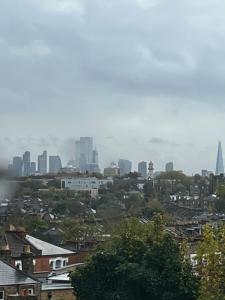 Blick auf eine Stadt mit Wolkenkratzern im Hintergrund in der Unterkunft Archway Apartment in London