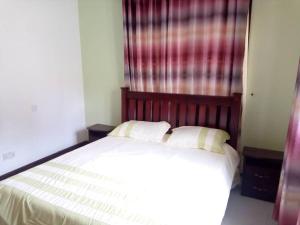 un letto bianco con due cuscini in una camera da letto di Larry's Place a Kampala