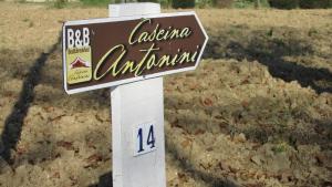 Certifikát, hodnocení, plakát nebo jiný dokument vystavený v ubytování Cascina Antonini