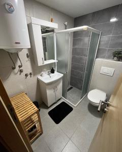 um banheiro com chuveiro, vaso sanitário e pia em Zlatiborske Noći em Zlatibor