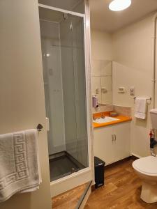 a bathroom with a shower and a toilet and a sink at Home Away From Home in Richmond