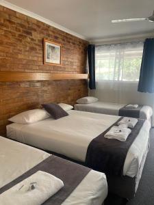 a room with four beds and a brick wall at Avocado Motor Inn in Childers