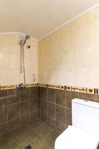 a bathroom with a shower and a toilet at Luxury Studio for 3 persons, near Carevec, Veliko Tarnovo in Veliko Tŭrnovo