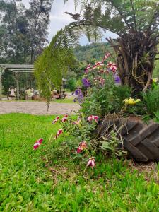 un ramo de flores en un campo de hierba en Casas Sabiá, en Gramado