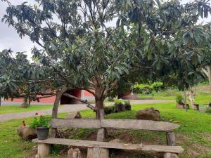 un banco de madera bajo un árbol en un parque en Casas Sabiá, en Gramado