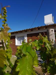une maison en briques avec une fenêtre et quelques plantes dans l'établissement Cabañas El Kincho, à Albardón
