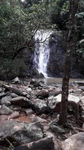 a waterfall in the middle of a river with rocks at Orchid Island B&B on the River with Pool & Jetty in Pacific Harbour