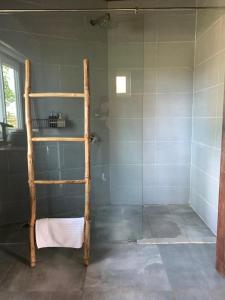 a bathroom with a shower with a ladder in it at Sumeru in Sen Monorom