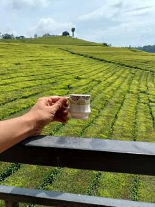 a person holding a cup of coffee in a field at Tea Estate view stay in Ooty