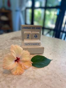 Fotografie z fotogalerie ubytování Cabanes Des Anges v destinaci La Digue
