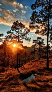 a sunset in a field with trees and a pond at The Chakras Valley Homestay in Almora