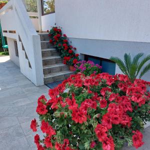 Zahrada ubytování Apartments Mohar II