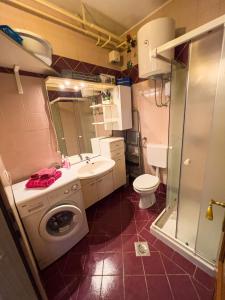 a small bathroom with a sink and a washing machine at Apartma IVY in Ankaran