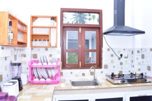 une cuisine avec un évier et une fenêtre dans l'établissement Ceylon Relax Villa, à Moragalla