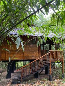 a tree house in the woods with a wooden staircase at Uravu Bamboo Grove Resort in Wayanad